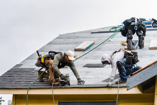 Professional Storm Damage Roof Repair technician working in Barnardsville, NC